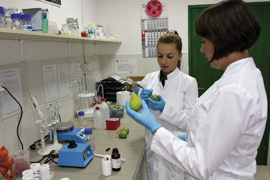 Konkurs za naučnu nagradu u 2025. godini