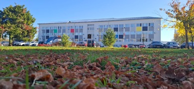 Предавање доцента Александра М. Савића