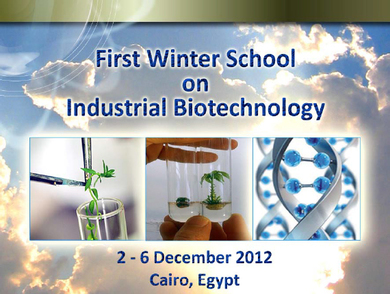 Позив за аплицирање на Прву зимску школу из области индустријске биотехнологије у Египту 