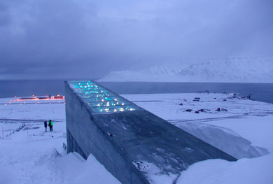 The Storage of the First Gene Bank Collection Samples into the Svalbard Global Seed  Vault
